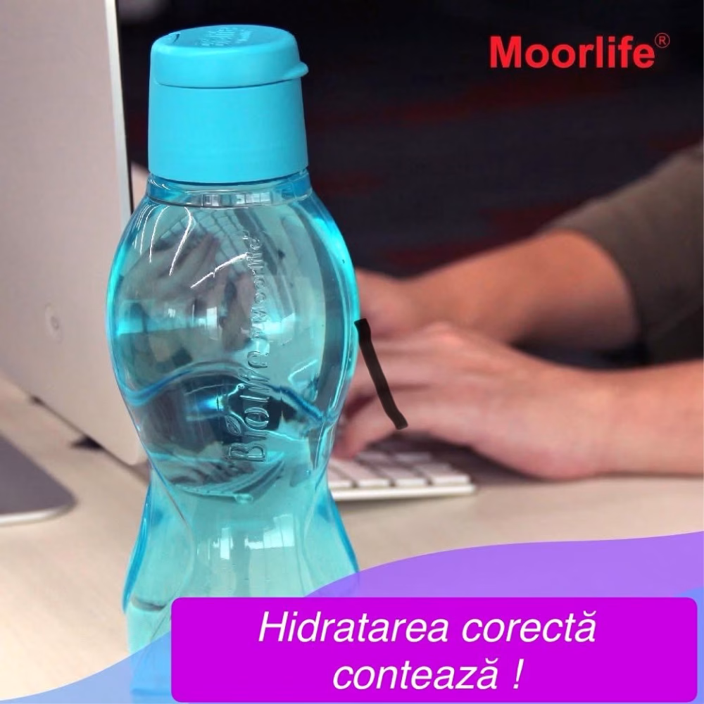 Sticla Biolife 500 ml Albastra